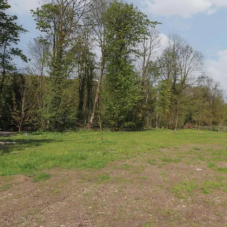 Blackthorn Copse * Ulverston